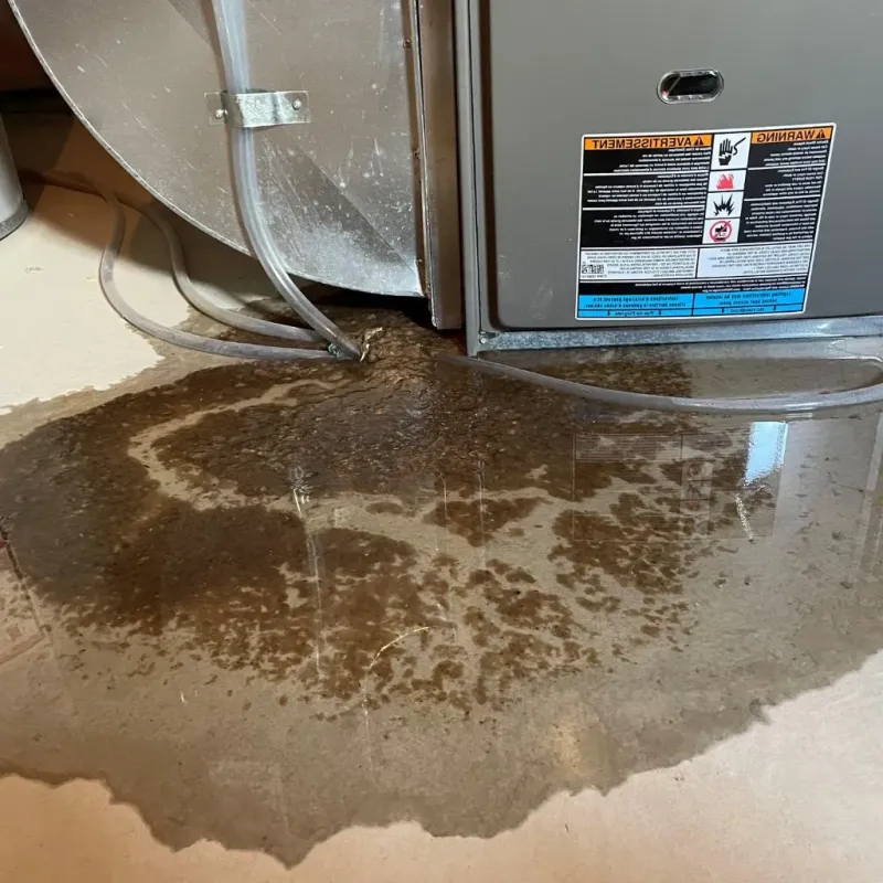 Pipe Burst and Leak Restoration in Loretto, TN