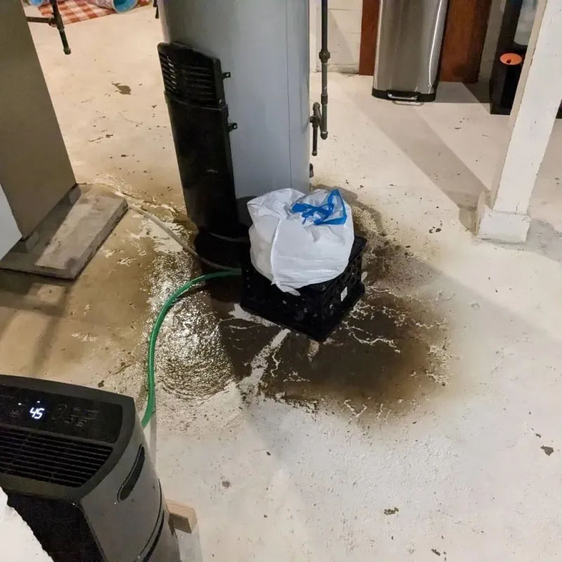 Sewage Backup Cleanup Service in Loretto, TN